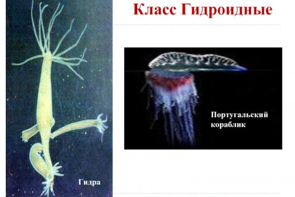 Кракен сайт что это